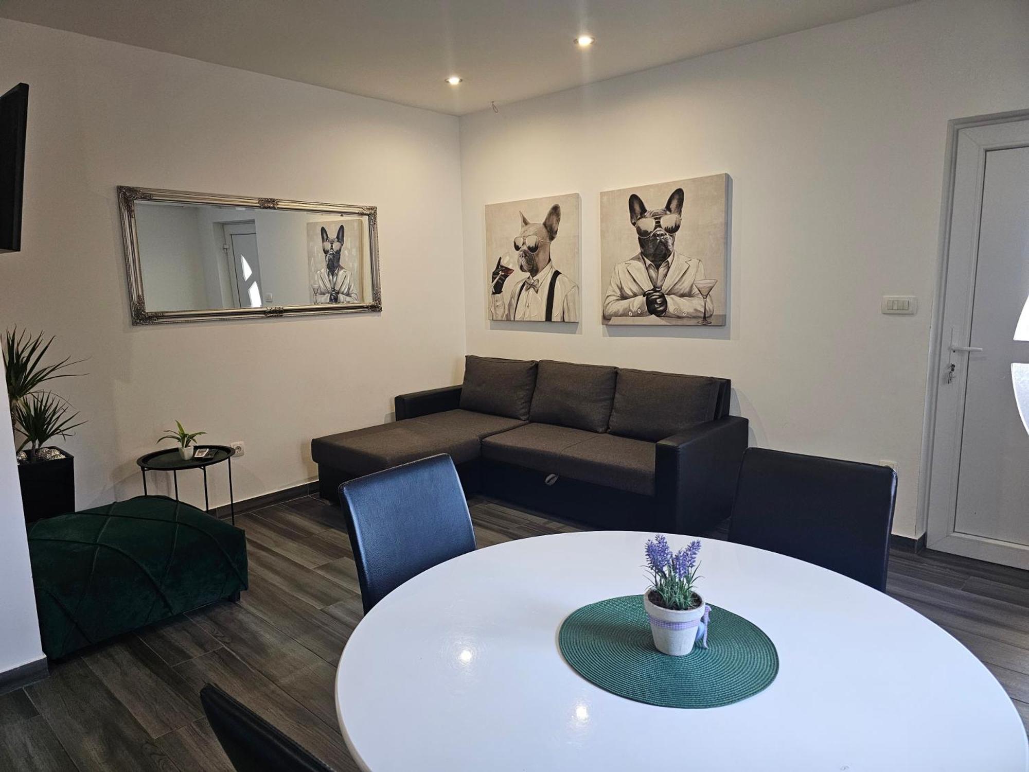 Apartments Villa Stivan ソリン エクステリア 写真